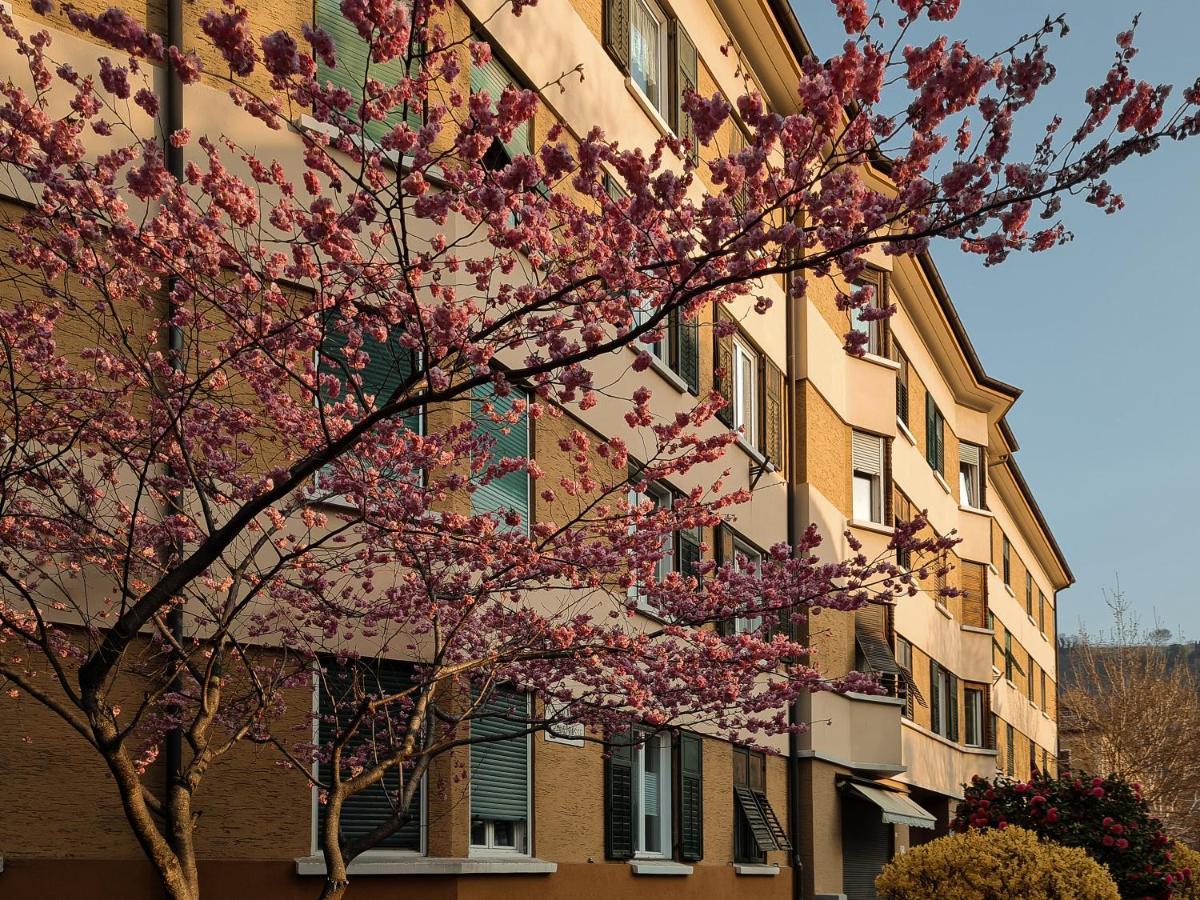 Central Suite Meran Eksteriør bilde